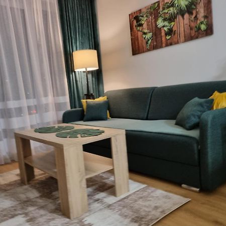 Apartament Sloneczny -Sciegiennego كيلتشي المظهر الخارجي الصورة