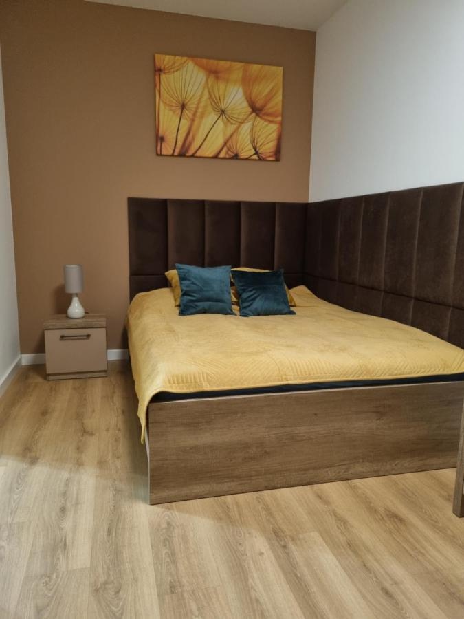 Apartament Sloneczny -Sciegiennego كيلتشي المظهر الخارجي الصورة