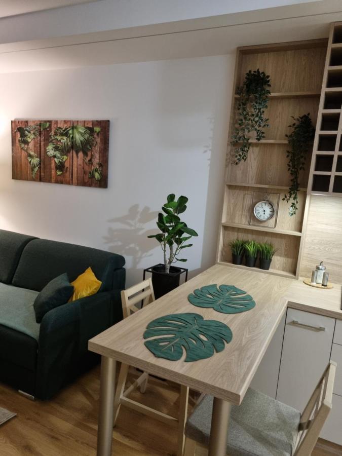 Apartament Sloneczny -Sciegiennego كيلتشي المظهر الخارجي الصورة