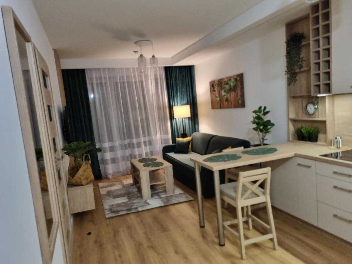 Apartament Sloneczny -Sciegiennego كيلتشي المظهر الخارجي الصورة